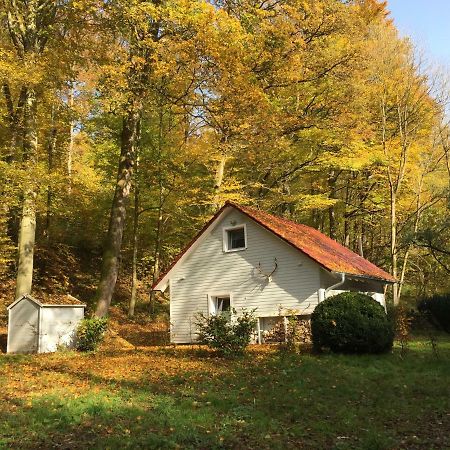 Vila "Das Waldhaus" Bad Lauterberg Exteriér fotografie