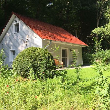 Vila "Das Waldhaus" Bad Lauterberg Exteriér fotografie