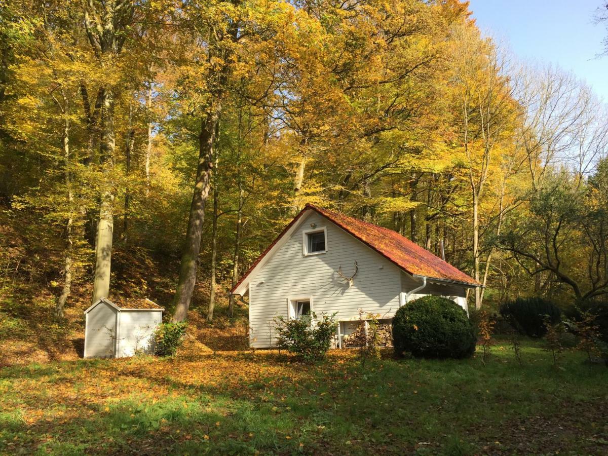 Vila "Das Waldhaus" Bad Lauterberg Exteriér fotografie