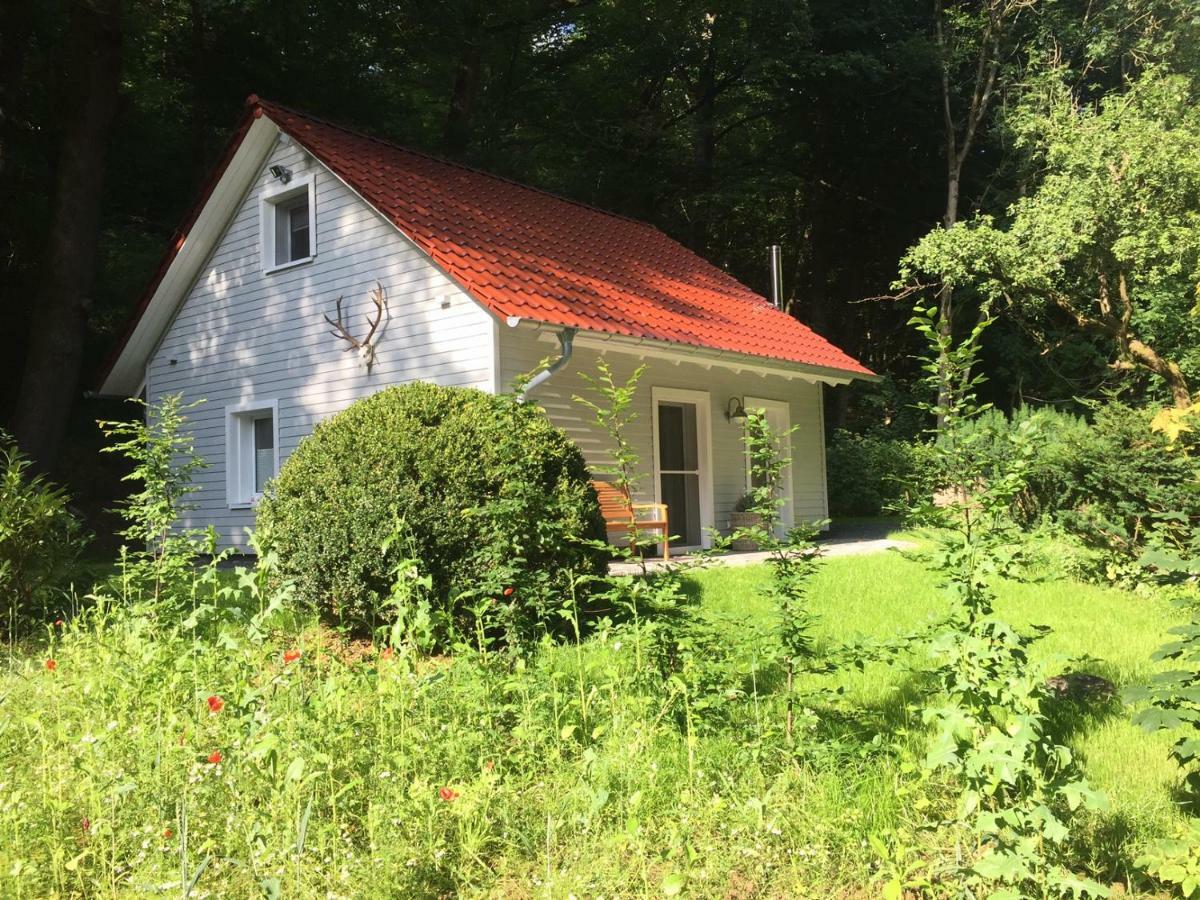 Vila "Das Waldhaus" Bad Lauterberg Exteriér fotografie